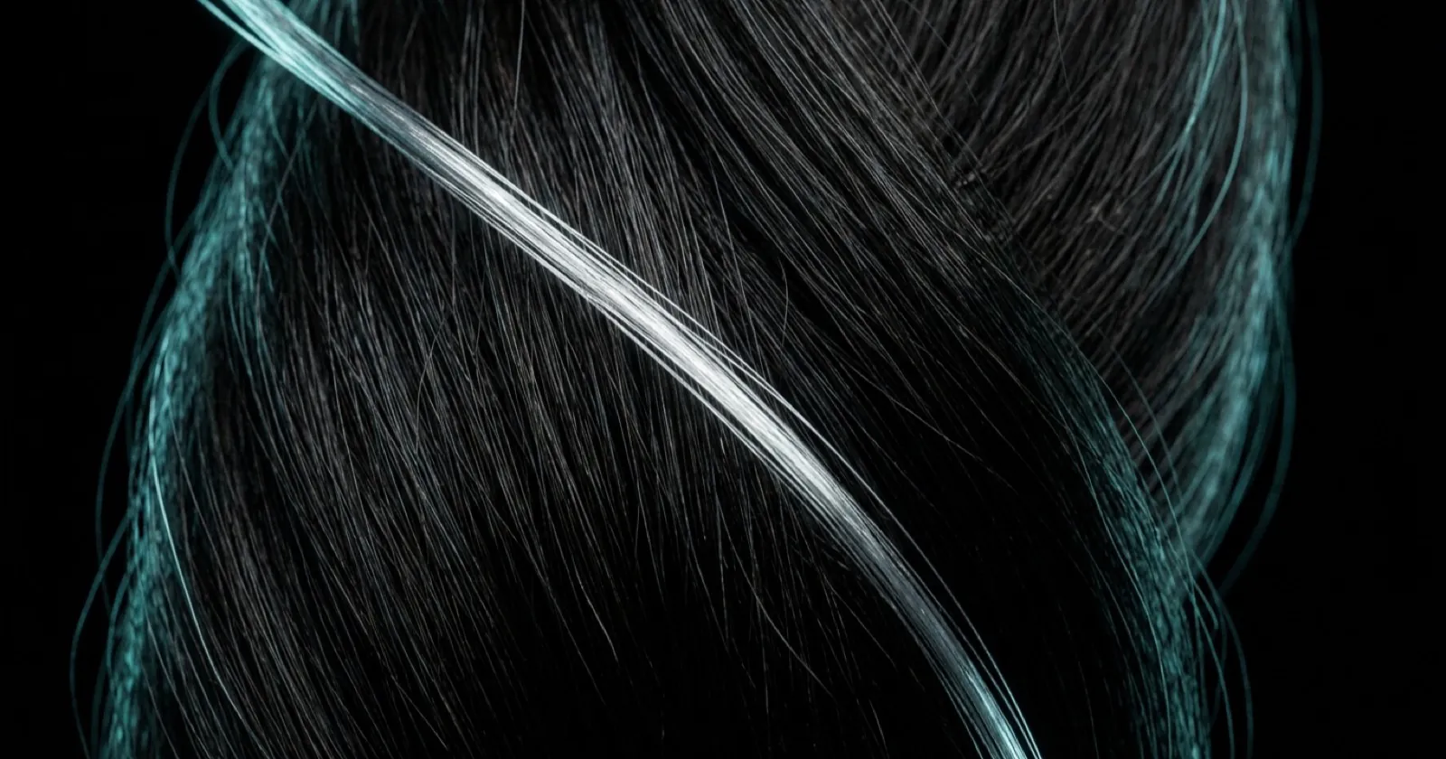A thick bundle of dark, healthy hair strands with one bright silver strand crossing in front, on black.