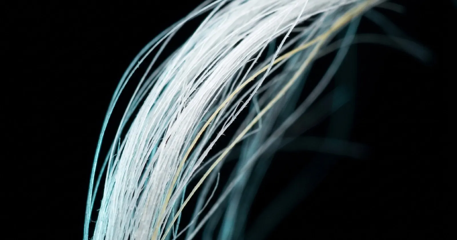White hair strands, a few with a light yellow tint, under cool light on a black background.