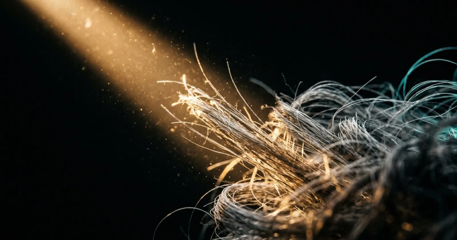 Silver hair strands lit by a single warm shaft of light cutting across a black background, with dust in the beam.